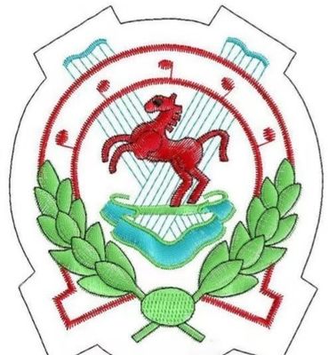 12 15 Naalden Dubbele Twee Twee Koppen Platte Borduurmachine voor Hoed Cap T-shirt bij OPEK